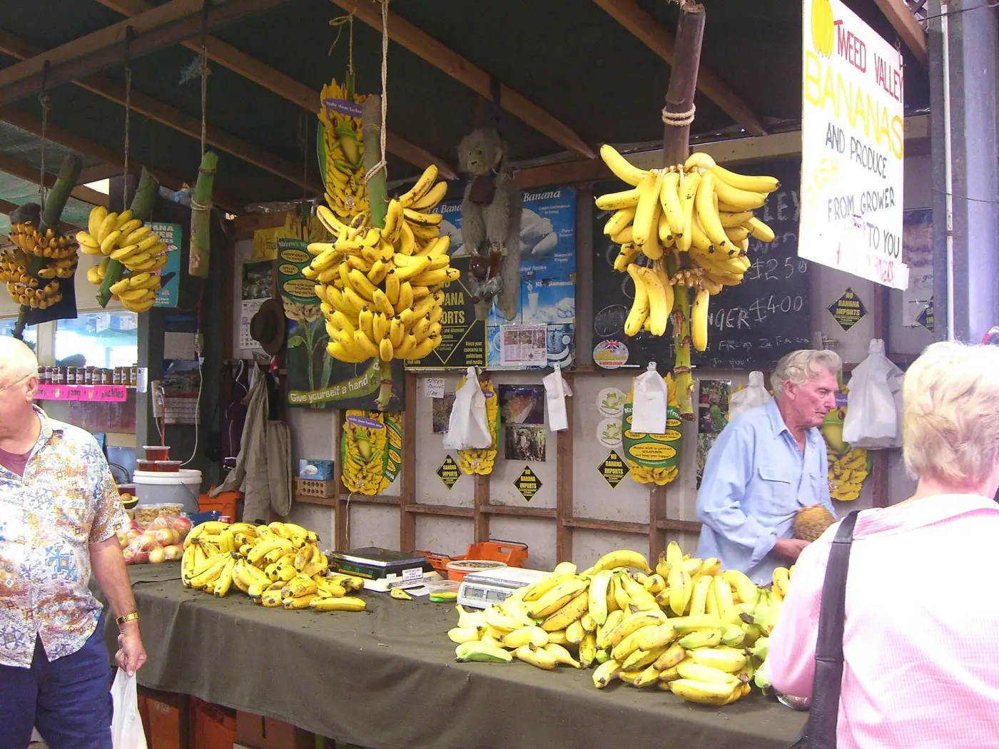 Hanging banana bunches at a market stall
