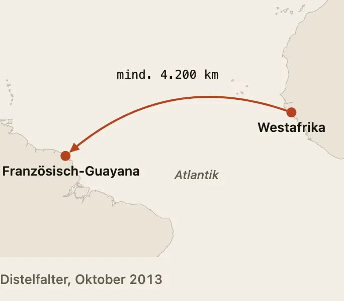 Karte des tropischen Atlantiks: Ein Bogen führt von der Küste Westafrikas mindestens 4.200 Kilometer übers offene Meer nach Französisch-Guayana.