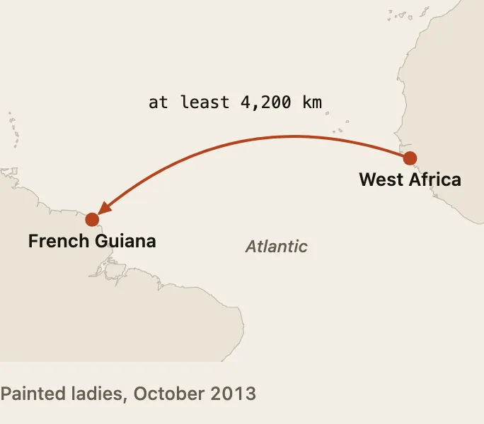 Map of the tropical Atlantic: an arc runs from the coast of West Africa at least 4,200 kilometres across open sea to French Guiana.
