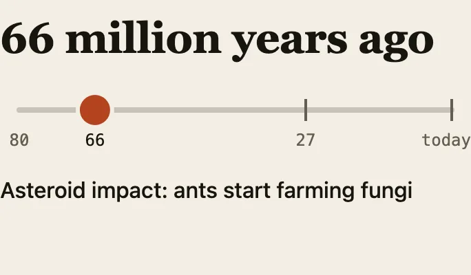 Timeline from 80 million years ago to today with three marks: asteroid impact 66 million years ago, higher agriculture 27 million years ago, today.