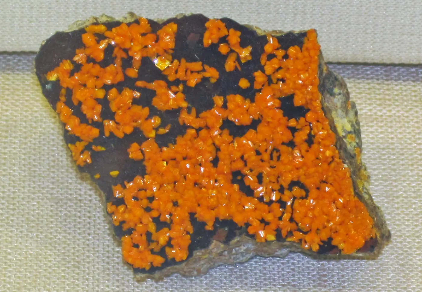 Orange francevillite crystals on dark rock from the Mounana mine in Gabon, where Oklo is located