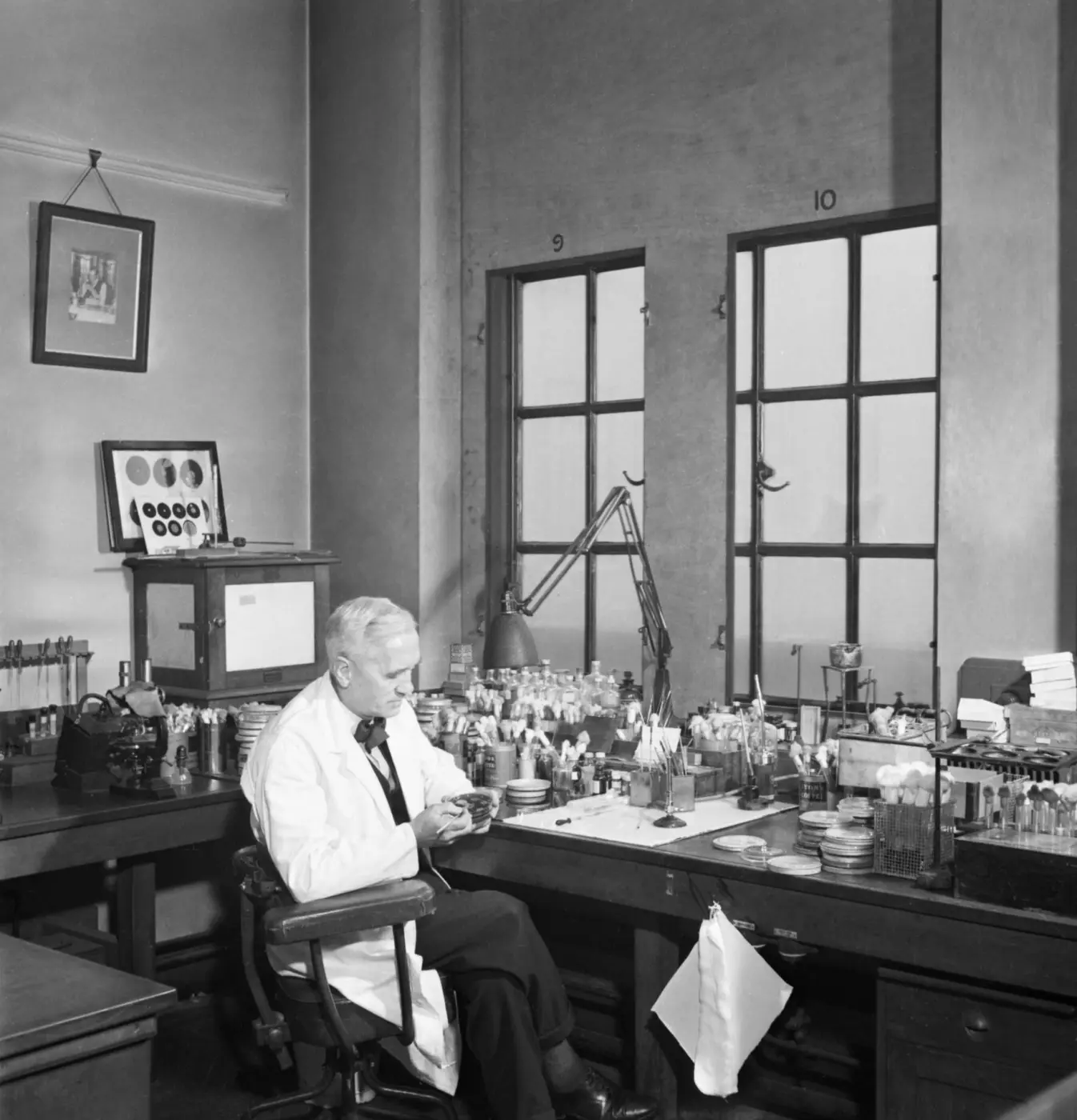 Black-and-white photo: Alexander Fleming in a white coat at his lab bench full of glassware